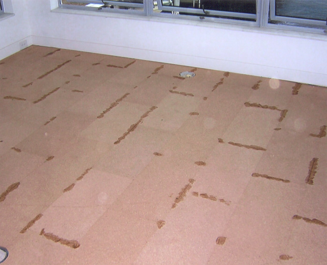 top 28 cork flooring questions cork floors frequently asked questions maple colored cork top 28 cork flooring questions cork floors frequently asked questions maple colored cork